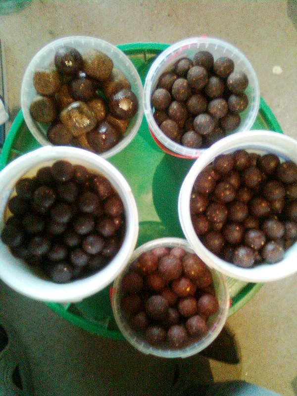 pentru delta - imagine0208.jpg